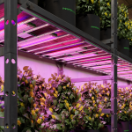 ADLite UV55 + IR30 Barres LED  de Croissance Mars Hydro – Pack de supplémentation ultraviolet et infrarouge. – Image 7