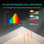 TS 600 – Lampe de Culture LED 100W à Spectre Complet Mars Hydro – pour Petits Espaces – Image 3