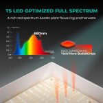 TSL 2000 – Lampe de Culture LED 300W à Spectre Complet Dimmable Mars Hydro – pour Tentes Intérieures 120x60cm, Végétation et Floraison – Image 3