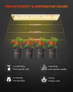 SF300 33W Lampe de culture LED Spectre Complet Spider Farmer - Idéal pour germination et bouturage, jardin intérieur - Image 3