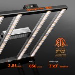 SE3000 300W Lampe de Culture LED BridgeLux3030  spectre complet Spider Farmer – Image 6