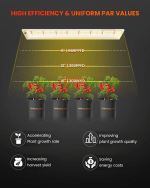 SF600 74W Lampe de culture LED Spectre Complet Spider Farmer - Idéal pour germination et bouturage, jardin intérieur - Image 3