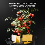 Kit d'outils de culture multifonction 9 en 1 de Spider Farmer – Image 10