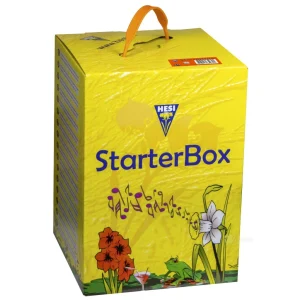 StarterBox - Coco - Hesi